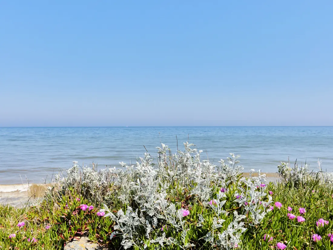 Maison de Vacances Saint Laurent-sur-Mer