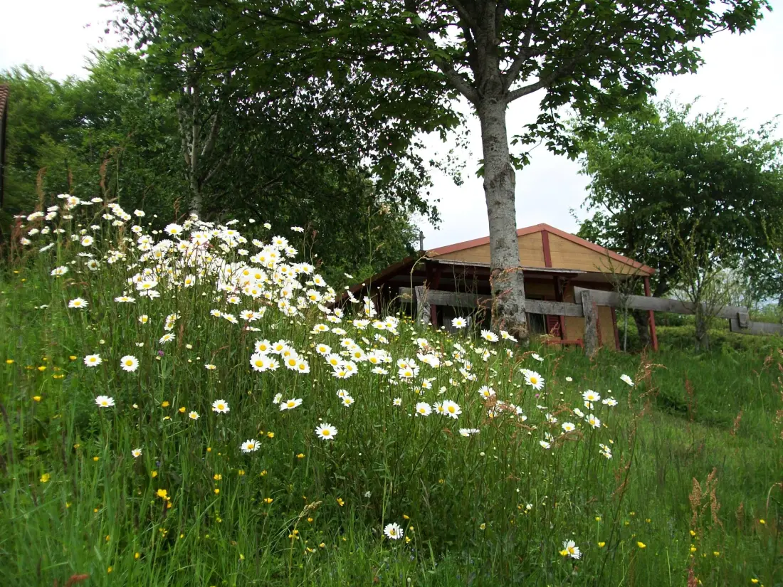Camping LA FOUGERAIE 3 étoiles★★★