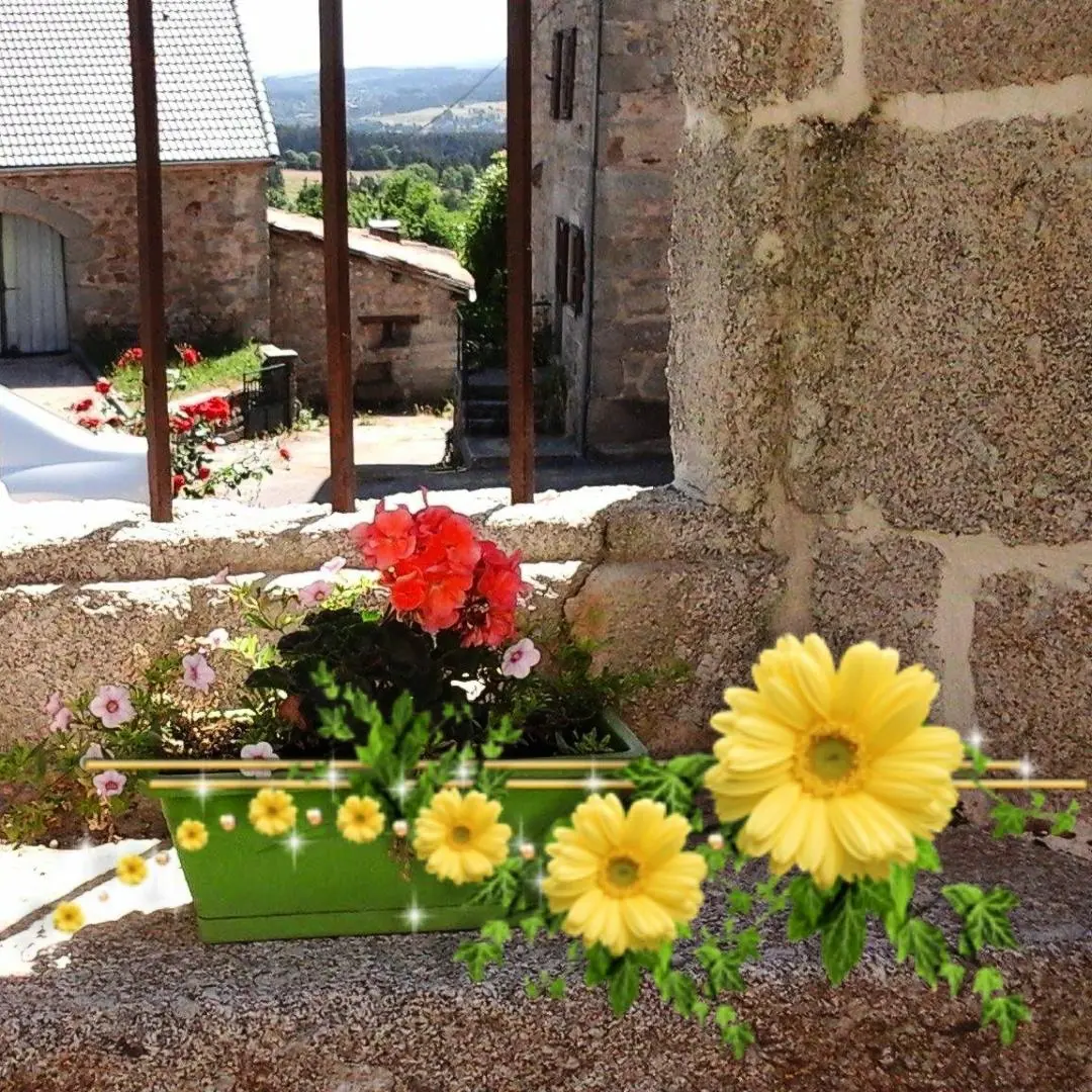 Gîte de France La maison d'alphonse 4 personnes 3 épis