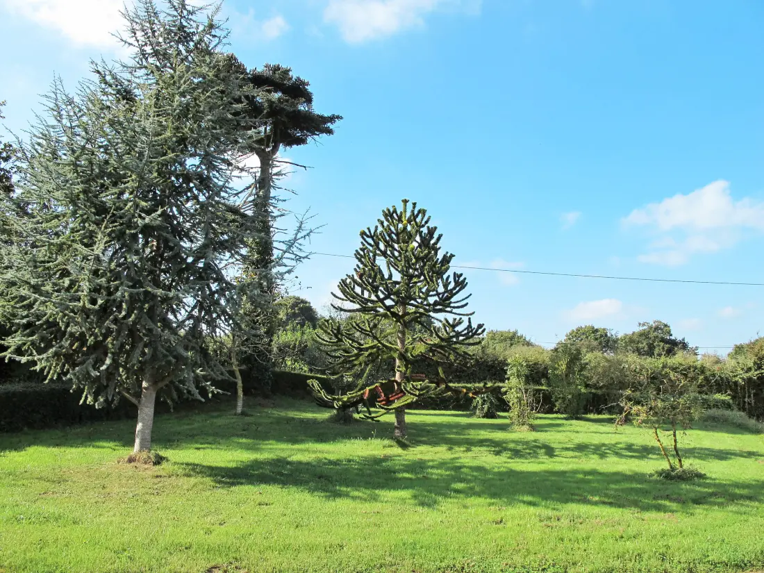 Maison de Vacances St. Lo-d'Ourville
