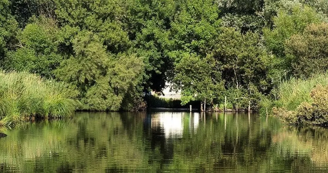 Camping Fleur de Brière3 étoiles★★★