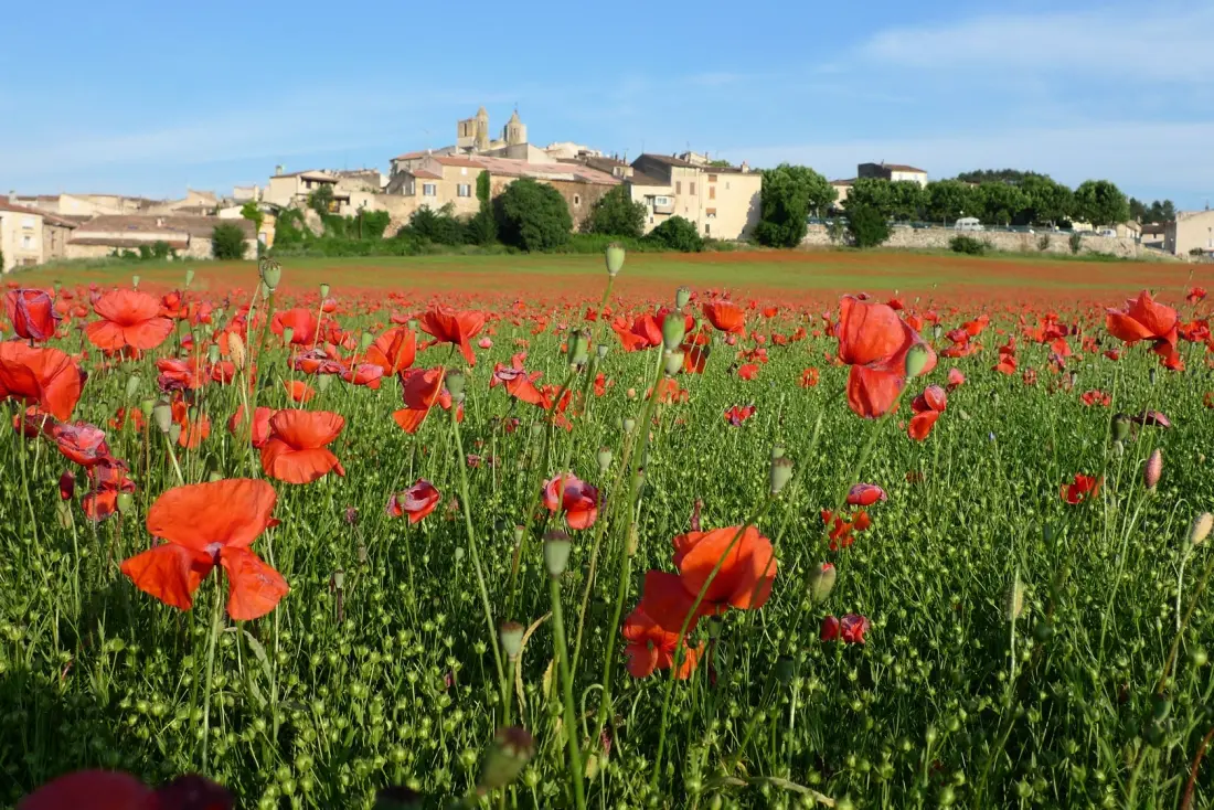 Flower Camping La Rivière 3 étoiles★★★