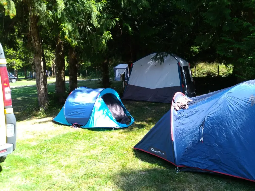 Camping Le Lizot en Saintonge  3 étoiles★★★