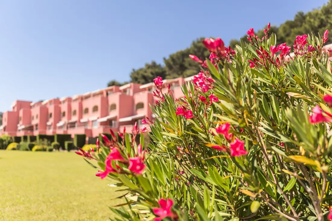 Résidence Pierre & Vacances  Les Jardins de la Côte d'Azur