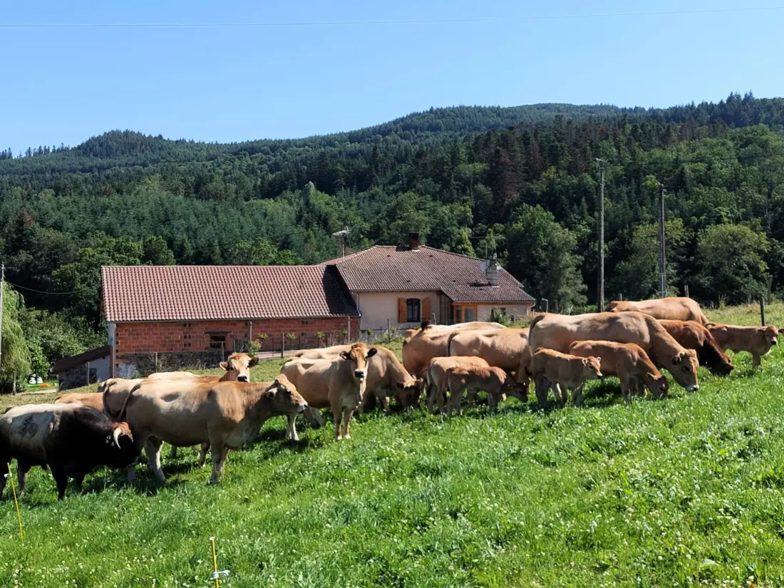Maison de Vacances SAINT-MARCEL-D'URFE 2