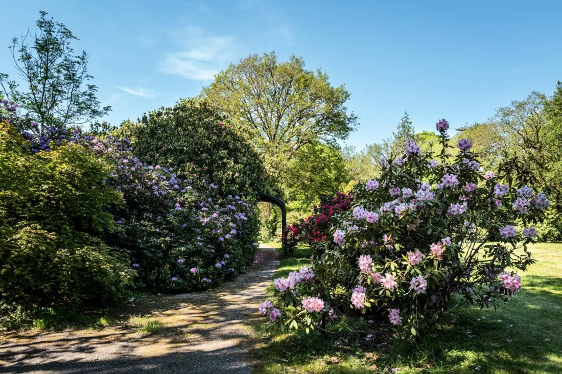 Gîte de France Domaine de lafayette - séjours bien-être et détente 4 épis