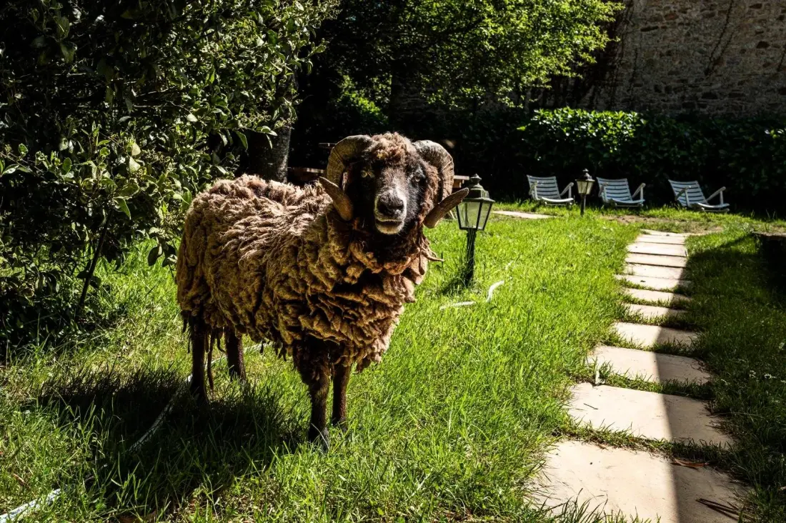 Gîte de France Domaine de lafayette - séjours bien-être et détente 4 épis