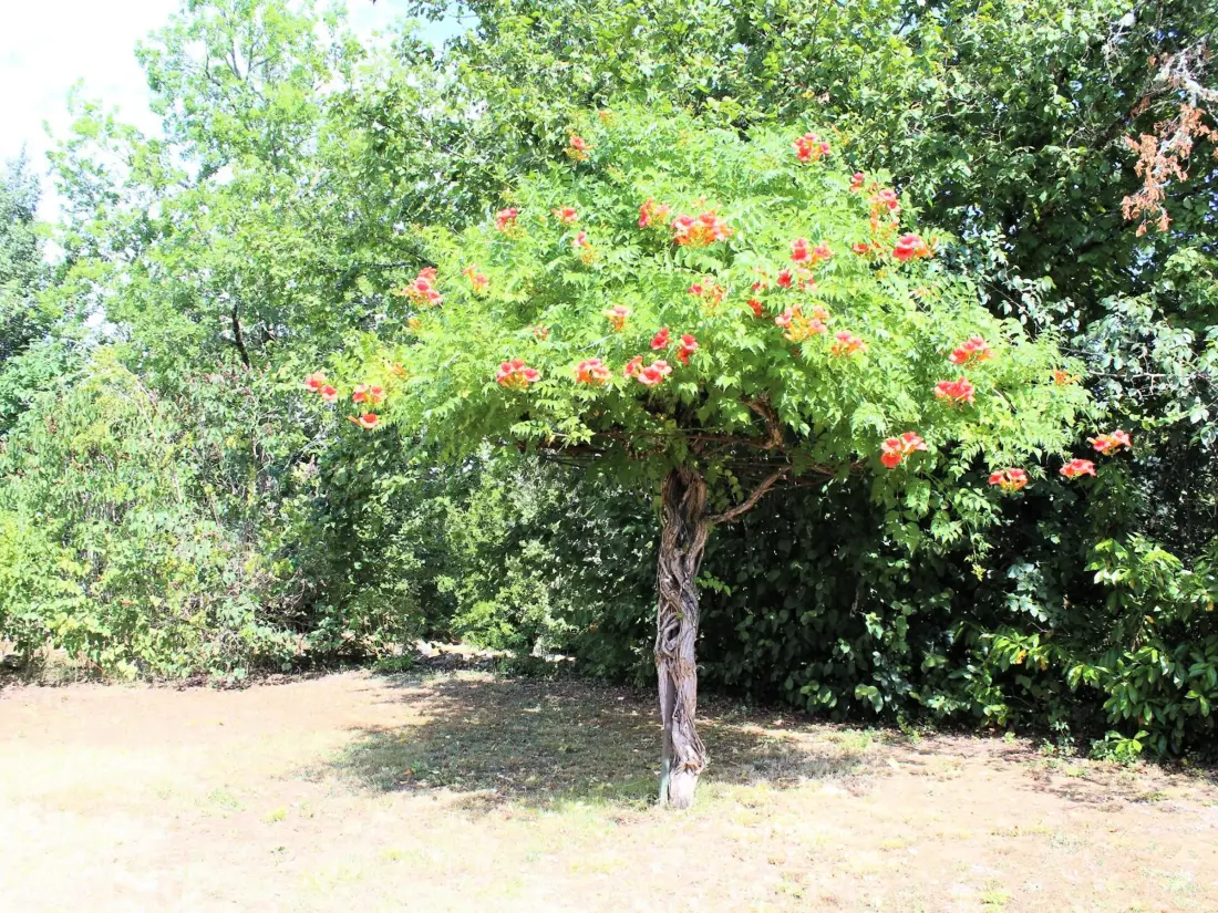 Location de Vacances Saint-Martial-de-Nabirat 3