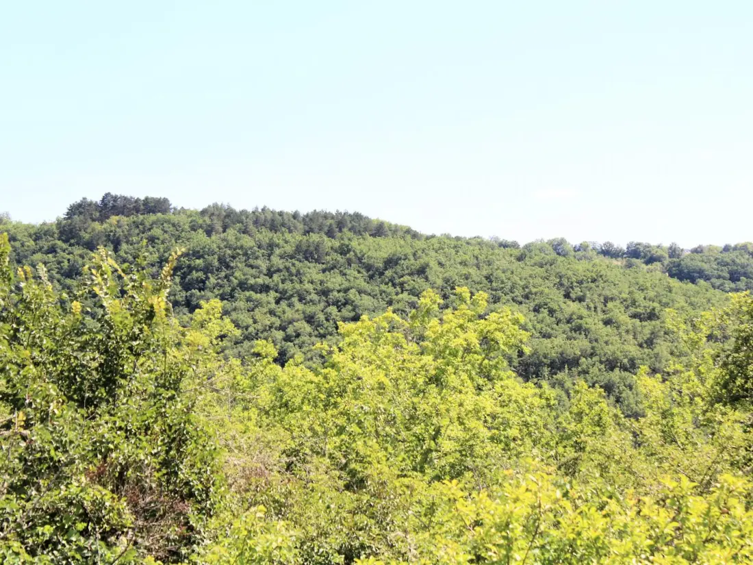 Location de Vacances Saint-Martial-de-Nabirat 3