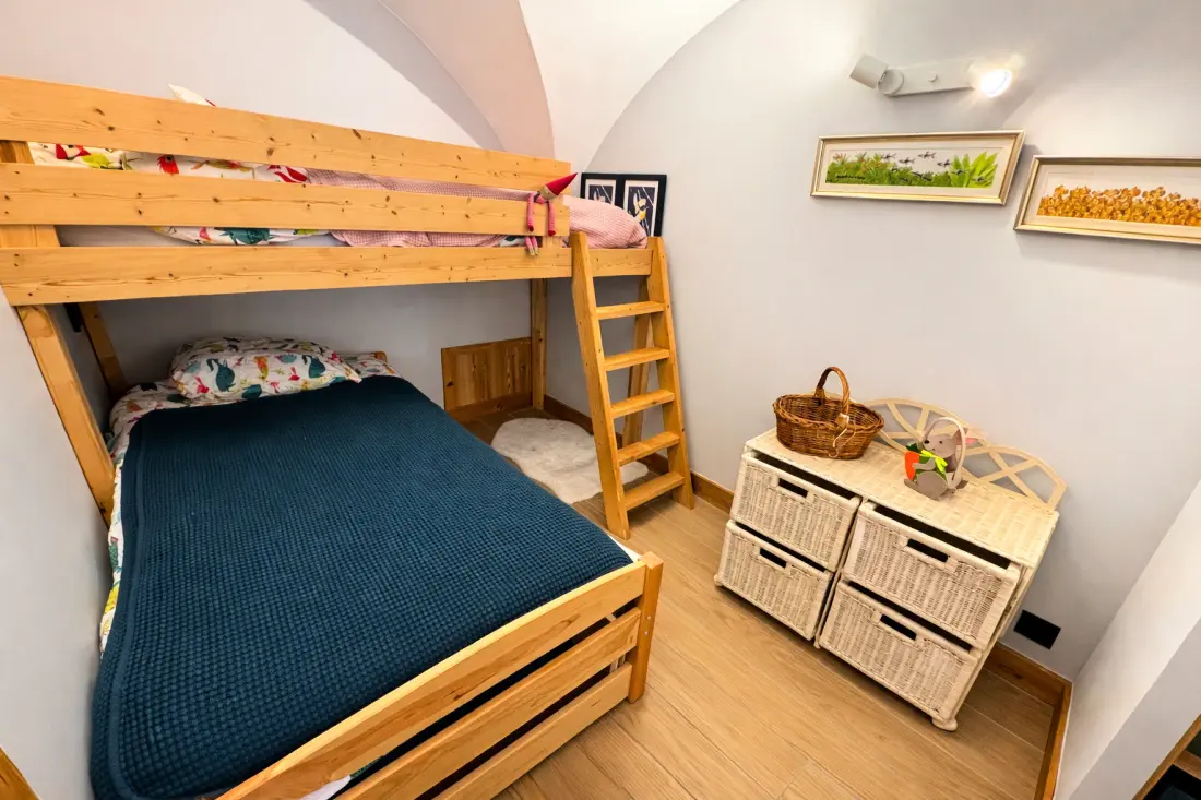 Chalet Aster