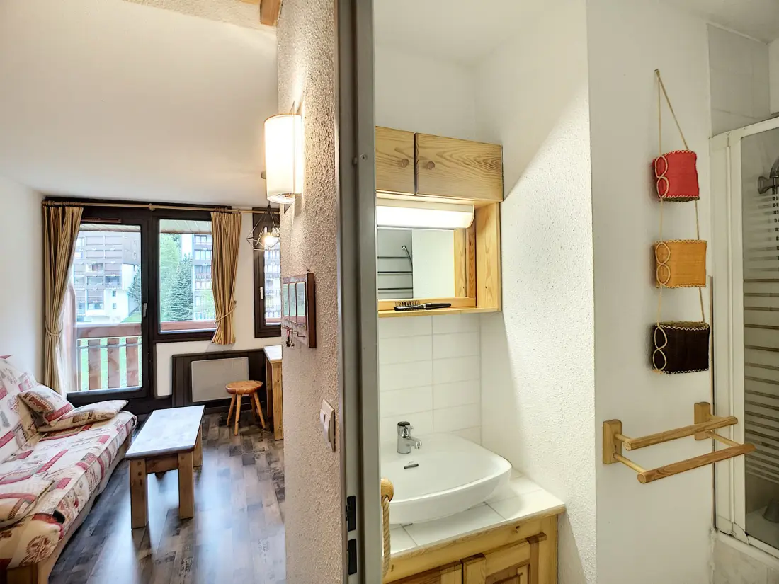 Location de Vacances Les Belleville 17