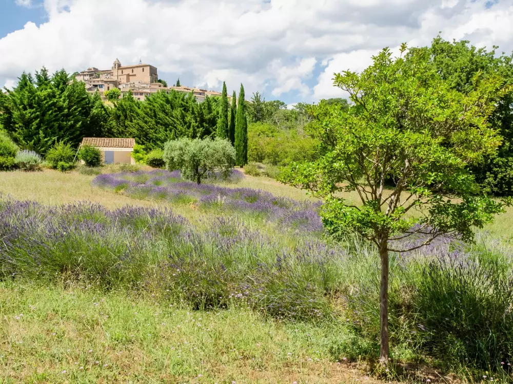 Maison de Vacances Saint Martin de Castillon