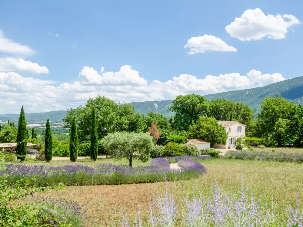 Maison de Vacances Saint Martin de Castillon