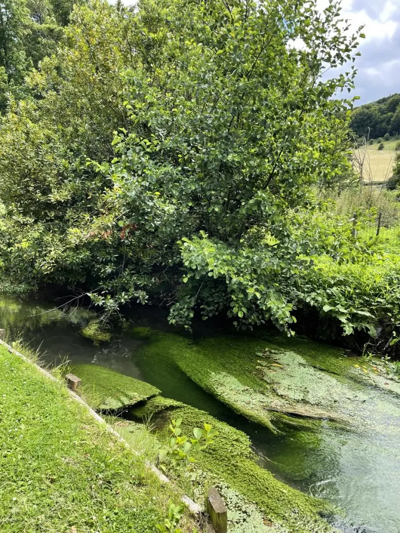 Gîte de France Gîtes de france® - le moulin 3 épis