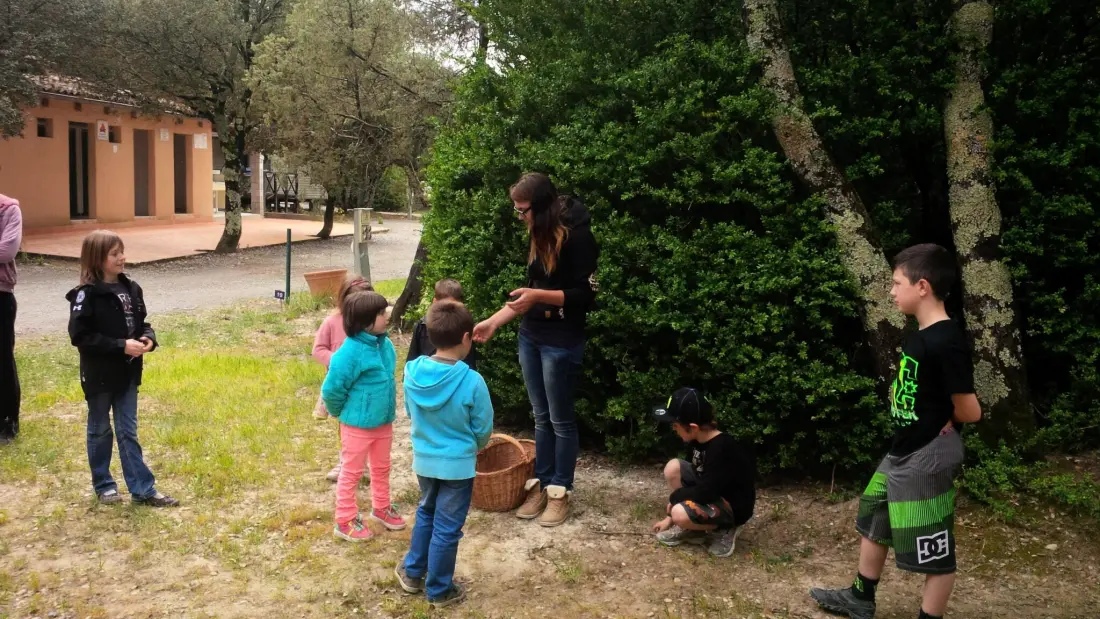 Camping Le Sous-Bois Ardèche 3 étoiles★★★