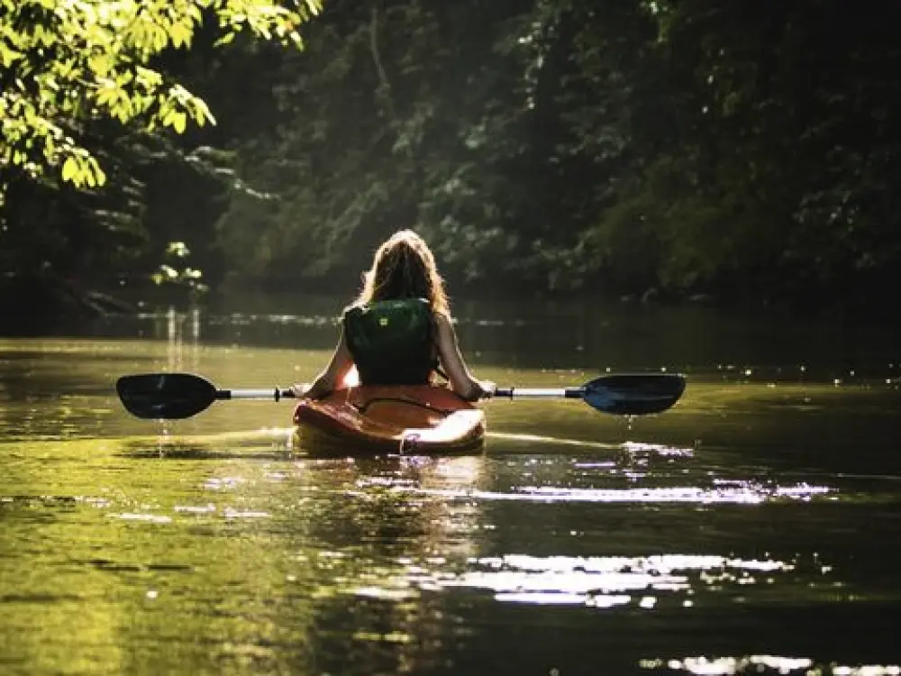Camping Le Sous Bois  4 étoiles★★★★