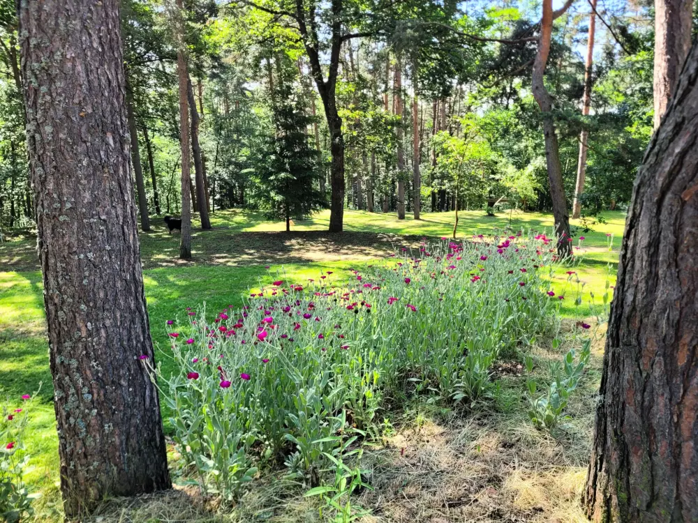 Ushuaïa Villages - Camping du Sabot 3 étoiles★★★