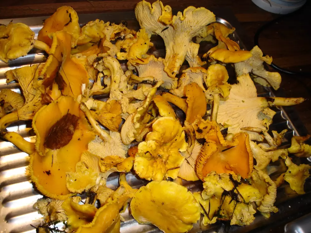 Ushuaïa Villages - Camping du Sabot 3 étoiles★★★