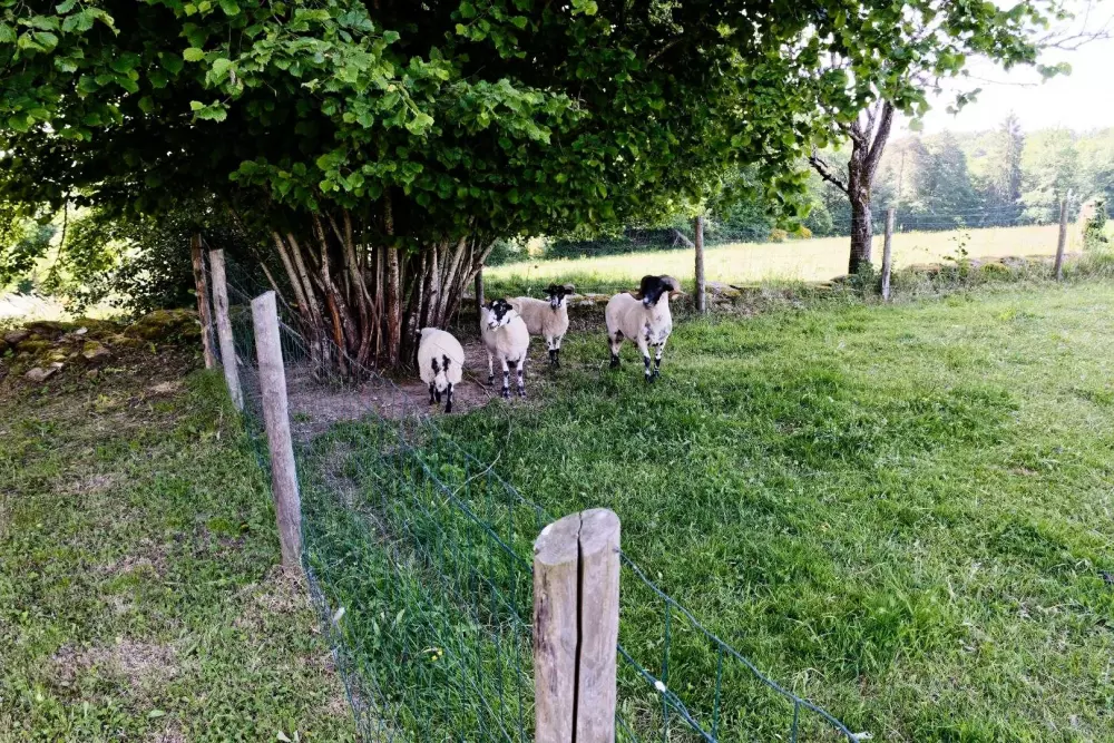 Gîte de France Gîte de coiral 3 épis