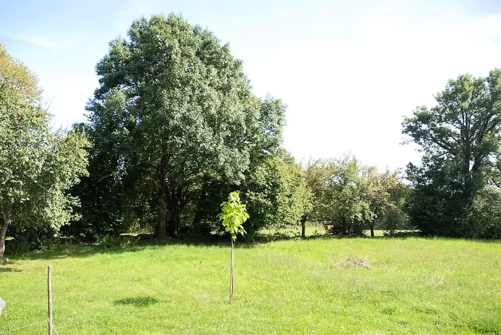 Gîte de France Gîte de coiral 3 épis