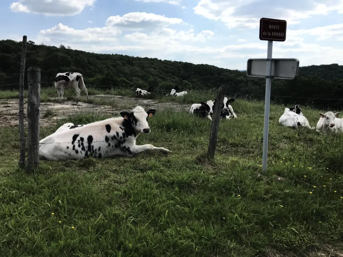 Gîte de France Le rouzeyrol 3 épis