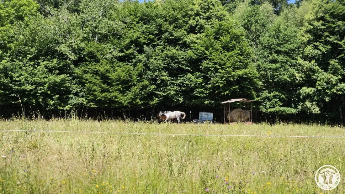 Gîte de France Le rouzeyrol 3 épis