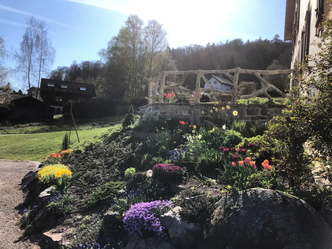 Location de Vacances Saint-Nabord 8