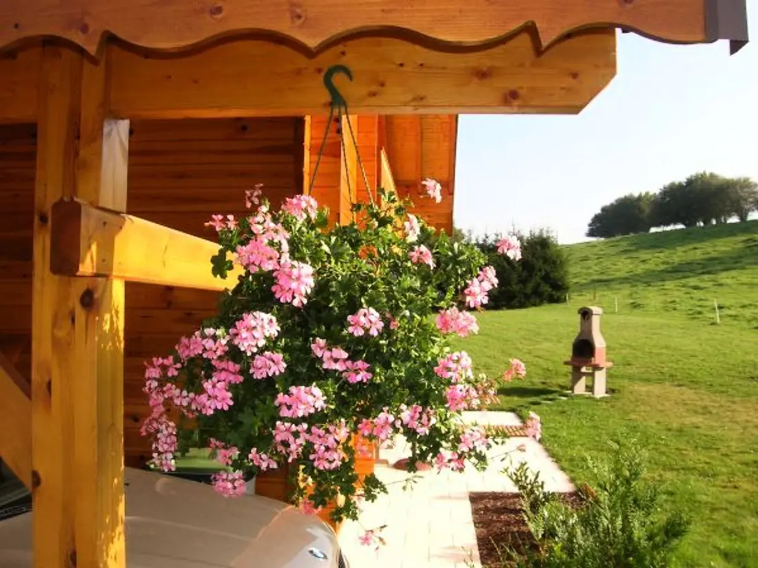 Maison de Vacances Saint-Nabord 3