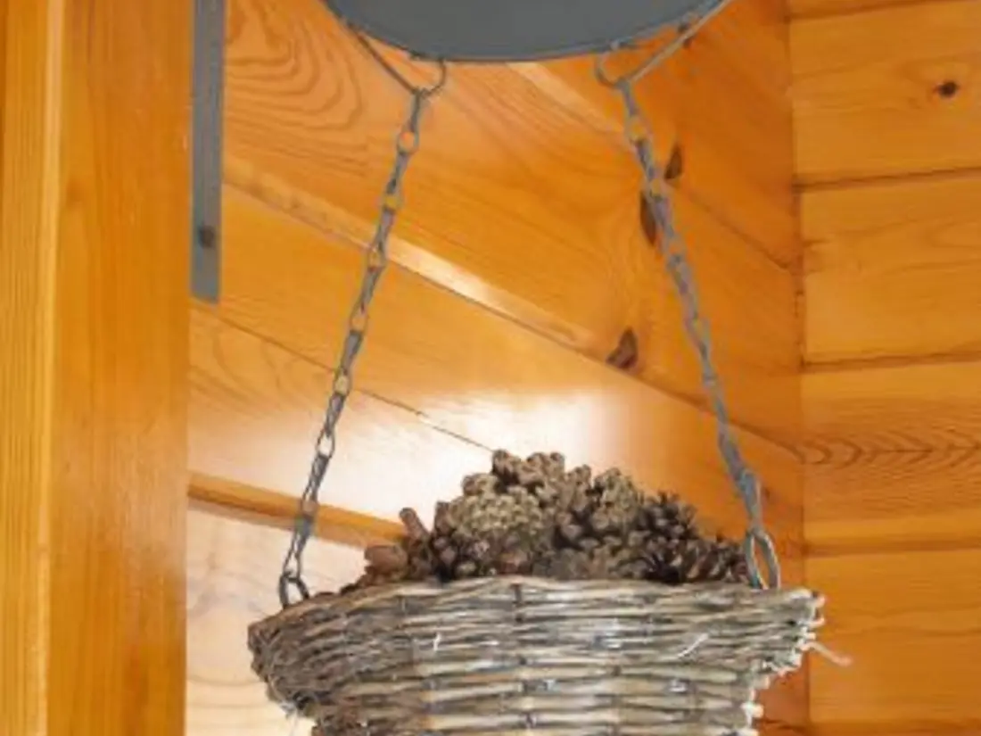 Maison de Vacances Saint-Nabord 3