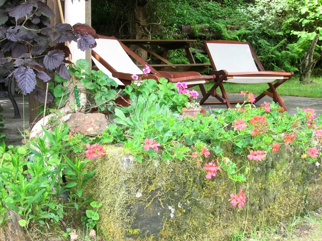 Maison de Vacances Saint-Nabord 4