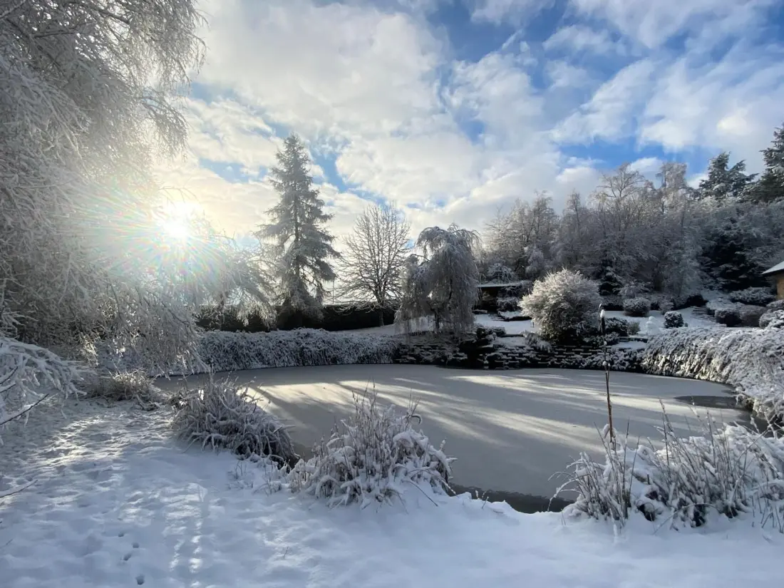 Maison de Vacances Saint-Nabord 4
