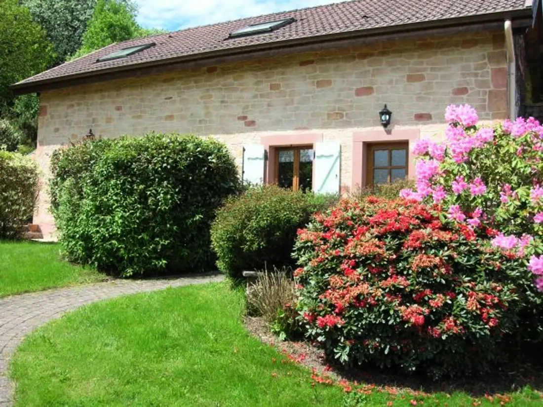 Maison de Vacances Saint-Nabord 4