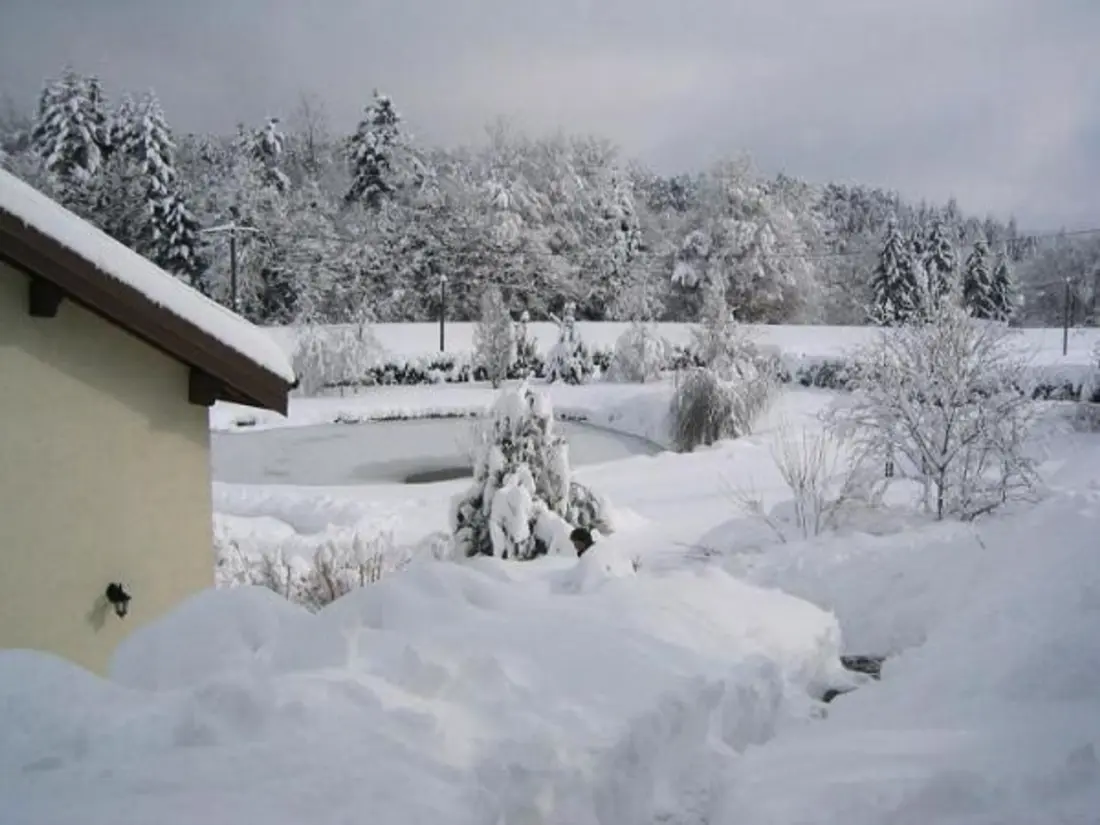 Maison de Vacances Saint-Nabord 4