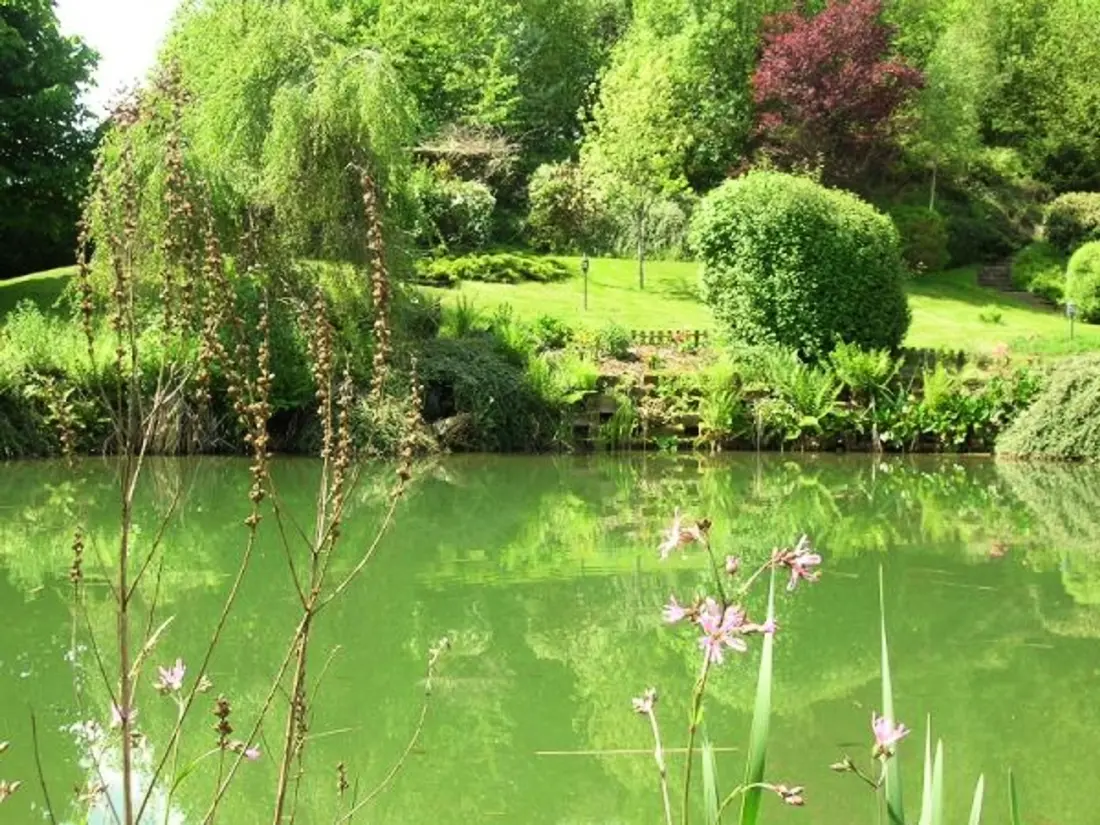 Maison de Vacances Saint-Nabord 4