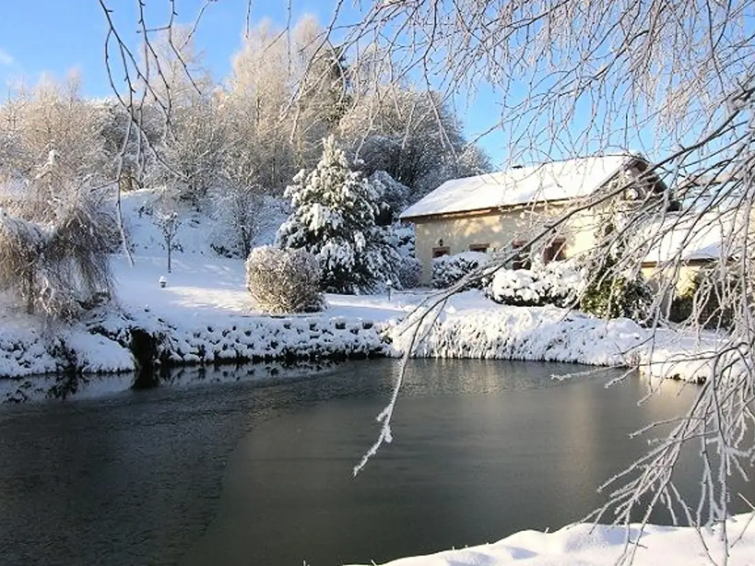 Maison de Vacances Saint-Nabord 4