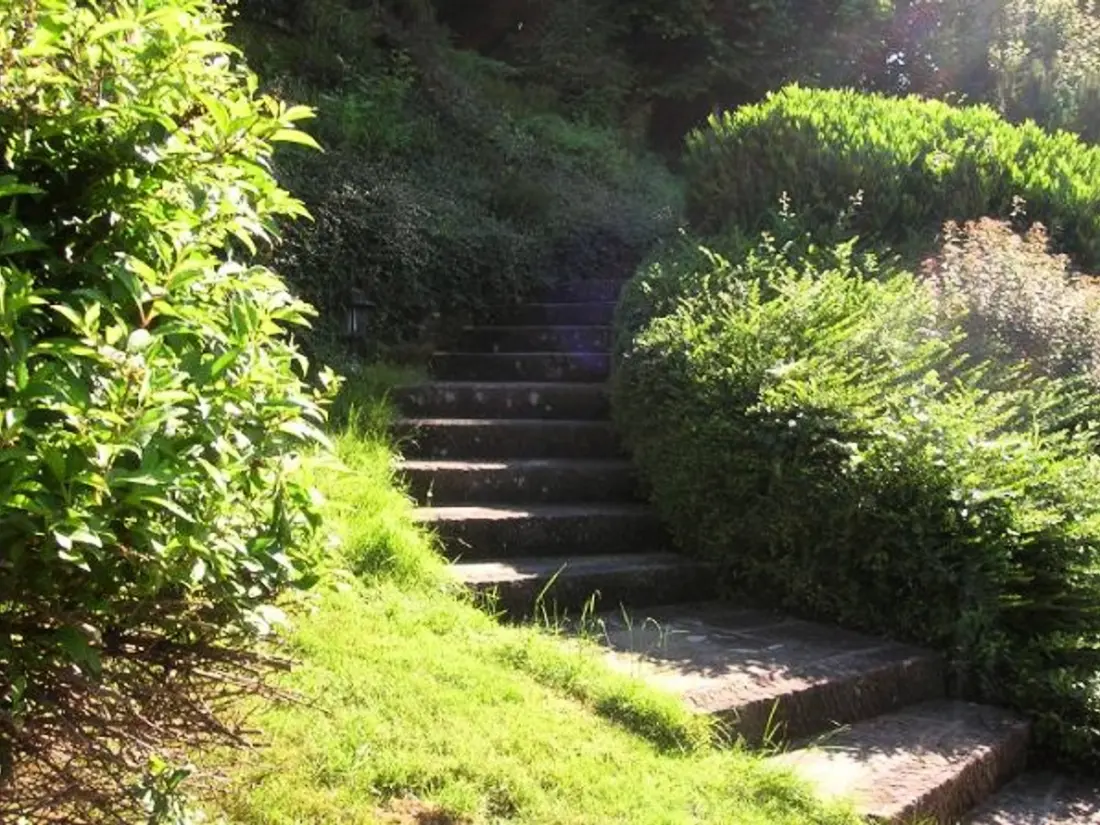 Maison de Vacances Saint-Nabord 4