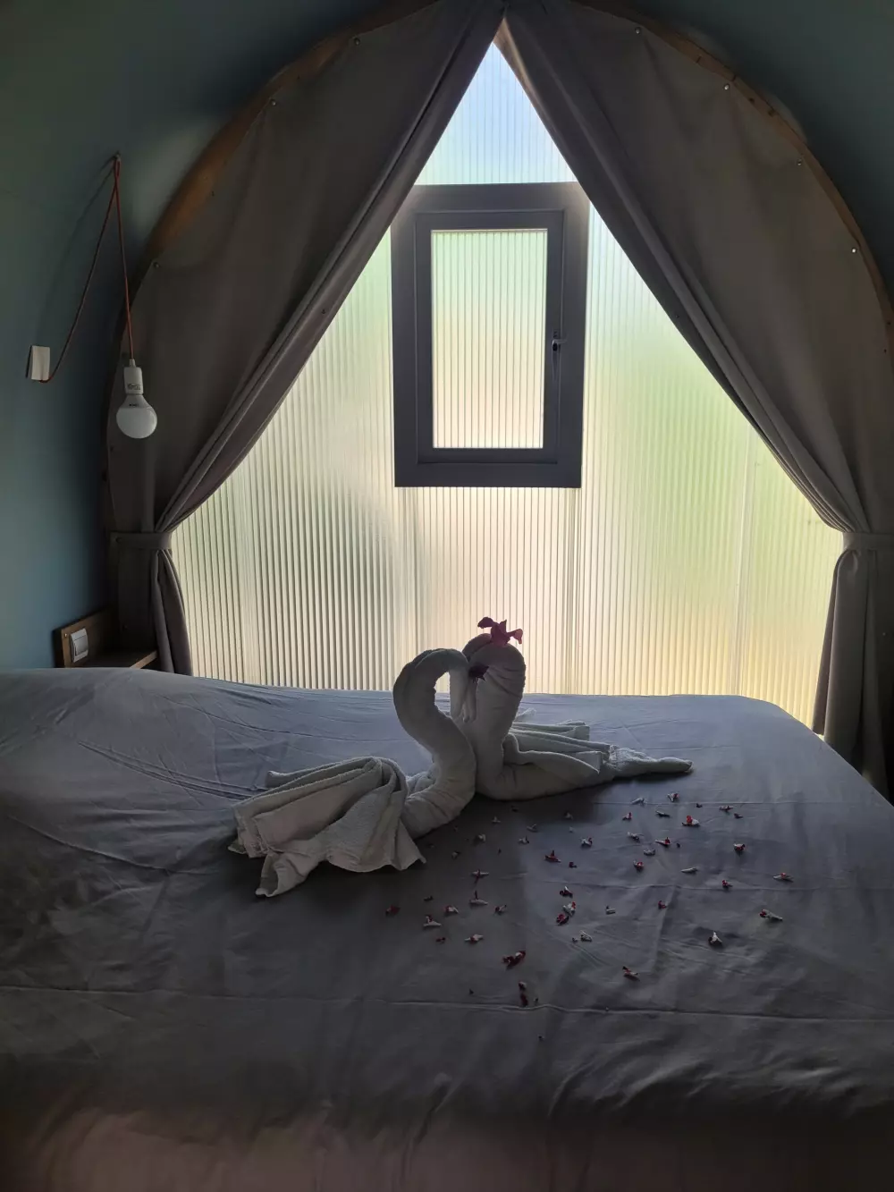 Flower Camping L'Abri-Côtier 3 étoiles★★★