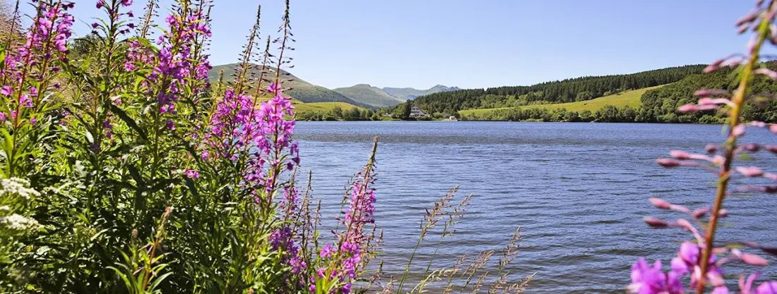 Camping Flower la Vallée Verte3 étoiles★★★
