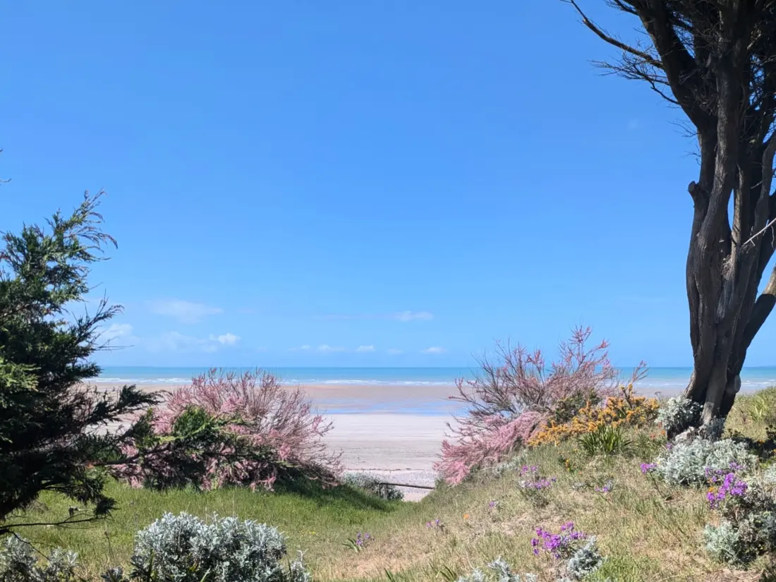 Maison de Vacances Saint-Pair-sur-Mer 133
