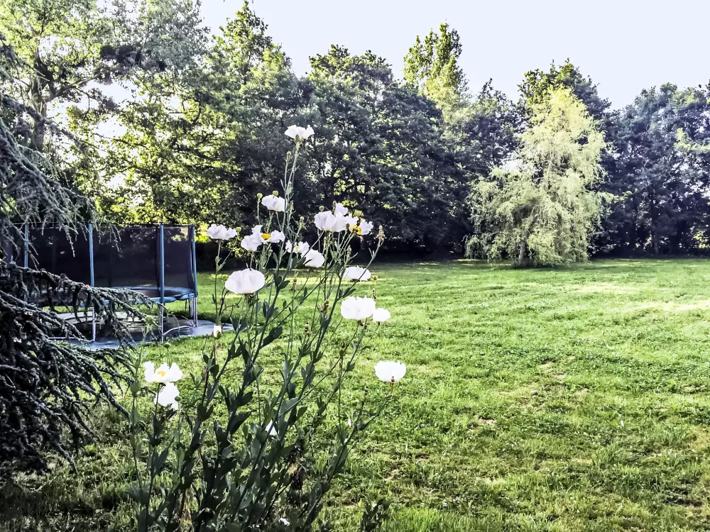 Maison de Vacances Saint-Pair-sur-Mer