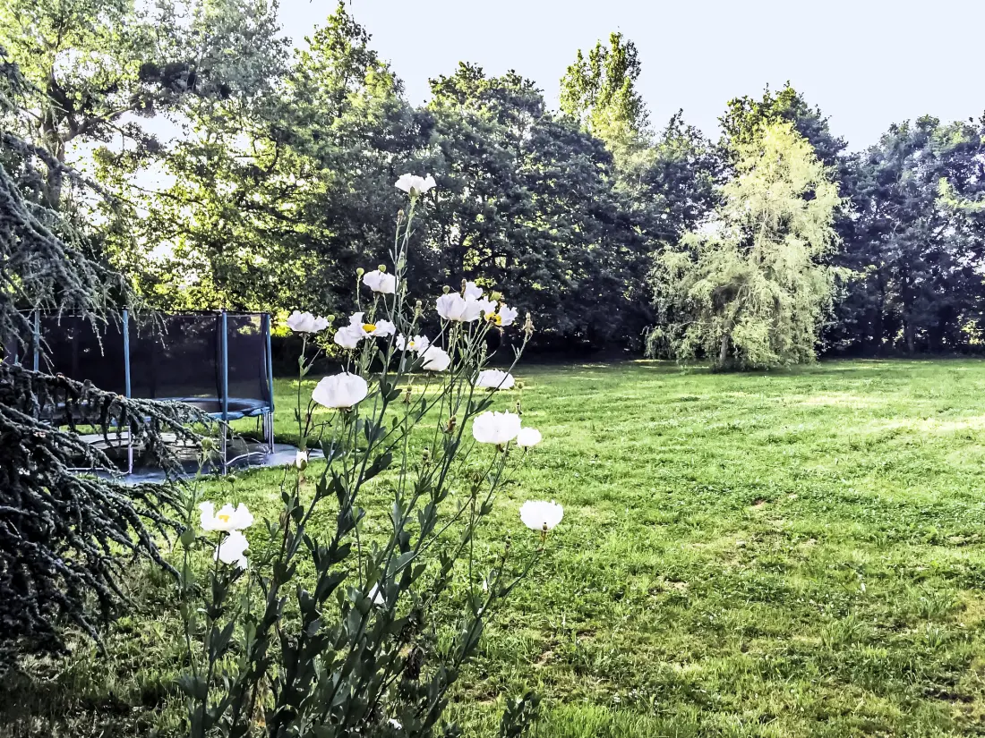 Maison de Vacances Saint-Pair-sur-Mer