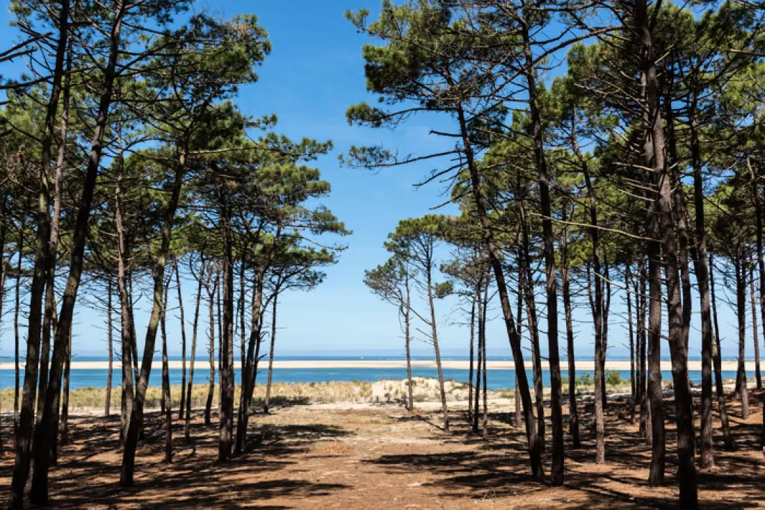 Camping La Clairière4 étoiles★★★★
