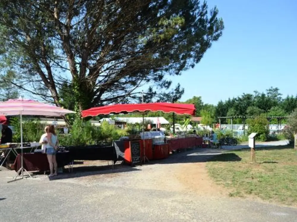 Camping Les Pins Du Soleil 4 étoiles★★★★