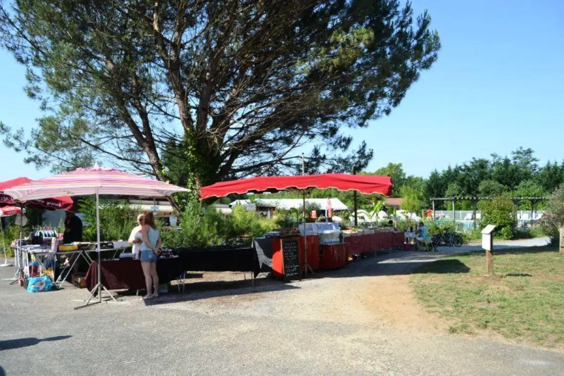 Camping les Pins du Soleil4 étoiles★★★★