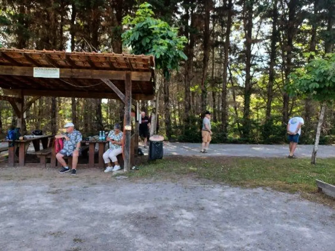Camping les Pins du Soleil4 étoiles★★★★