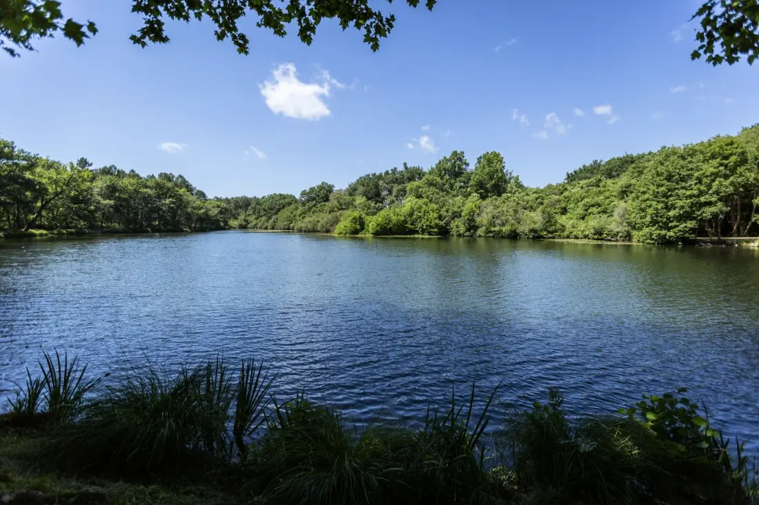 Camping maeva Escapades l'Etang d'Ardy 3 étoiles★★★