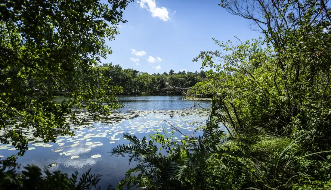 Camping maeva Escapades l'Etang d'Ardy 3 étoiles★★★