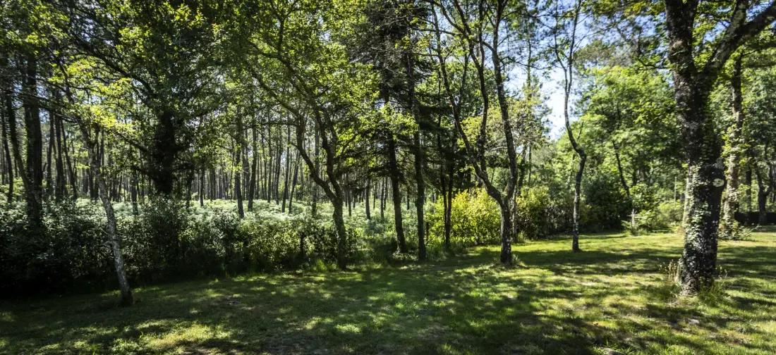 Camping maeva Escapades l'Etang d'Ardy 3 étoiles★★★