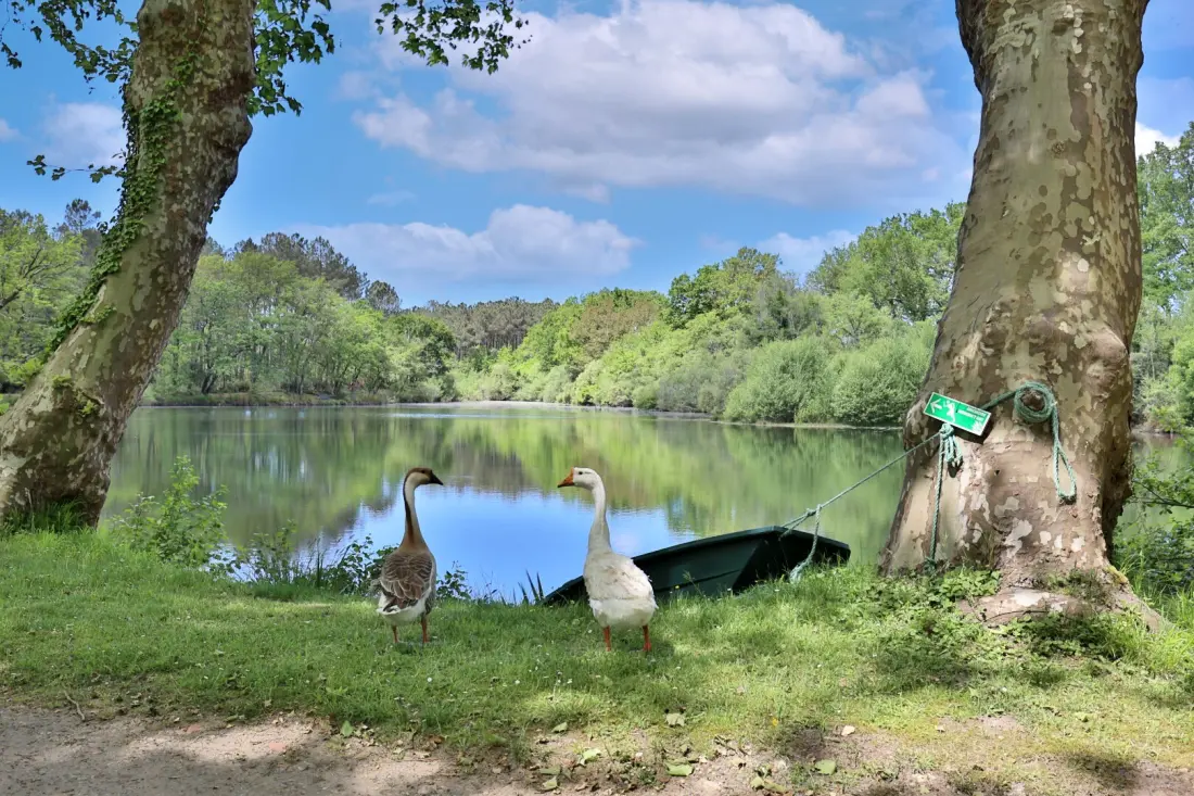 Camping maeva Escapades l'Etang d'Ardy 3 étoiles★★★