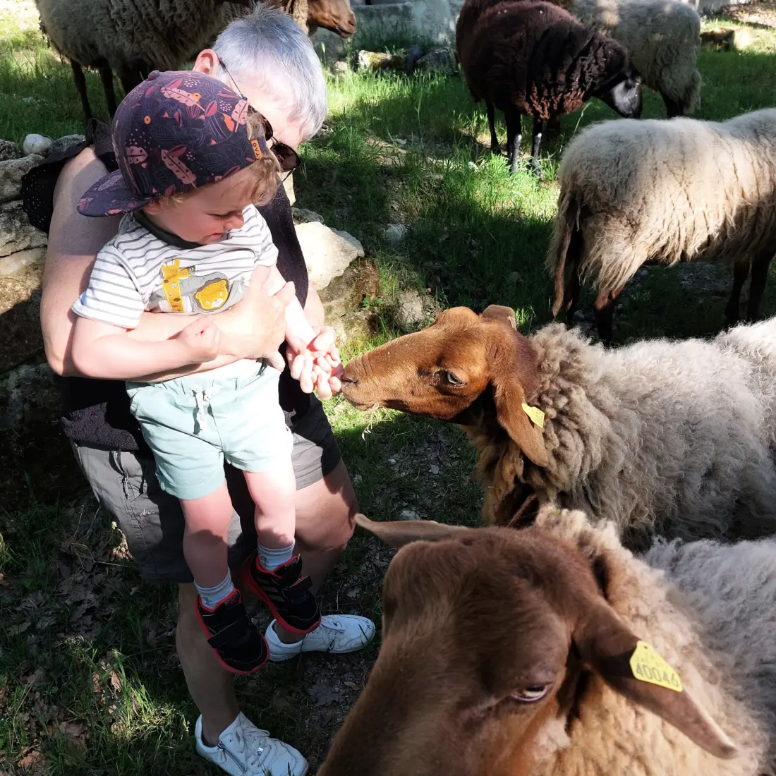 Camping de la Colline 3 étoiles★★★